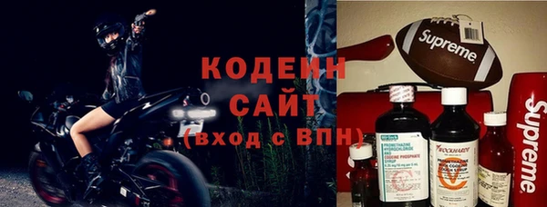 хмурый Арсеньев