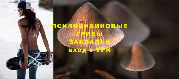хмурый Арсеньев