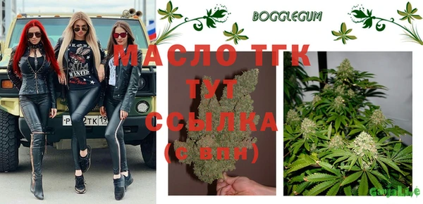 хмурый Арсеньев