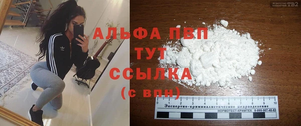 хмурый Арсеньев