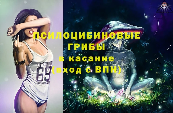 хмурый Арсеньев